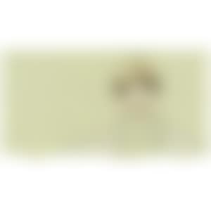 Untitled (Nara D-2003-164) (preview)