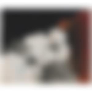 Untitled (preview)