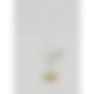 Untitled (Nara D-1997-152) (preview)