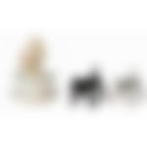 1. Pup Cup／2. Shinning Doggy Black/White (preview)
