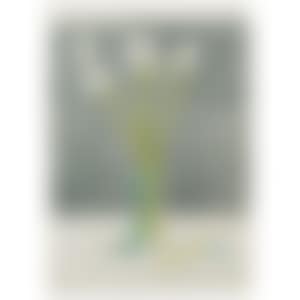 Lillies (preview)