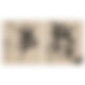 1. Dream／2. Dragon (preview)