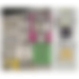 FACES (preview)