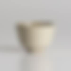 Small bowl (preview)