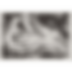 Metamorphose (preview)