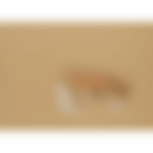 Field work (Esquisse 17) (preview)