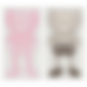 COMPANION (Pink, Gray) (preview)