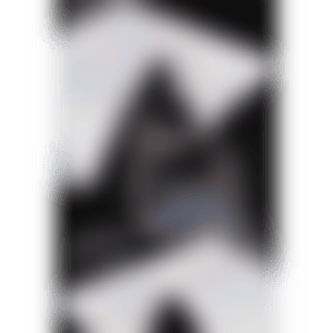 NOW OR NEVER (preview)
