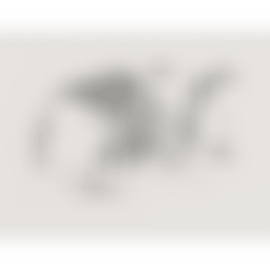 D - 88 - 4 (preview)