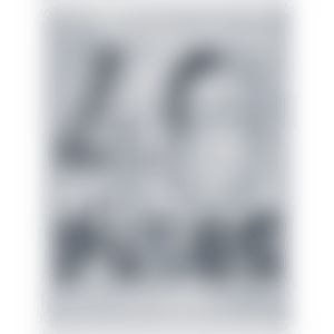 40 PESOS (preview)
