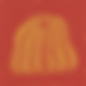 Pumpkin (RYSQ) (Kusama 241) (preview)
