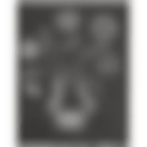 Vase (preview)
