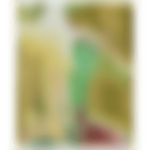Shokusocho 18 golden green pheasant (Phoenix 18) (preview)
