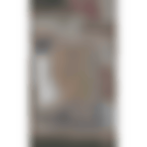 Adventitious Roots (preview)