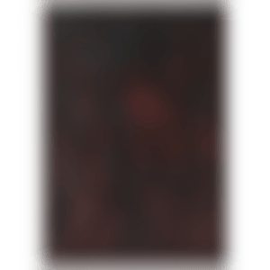 Transfiguration (preview)