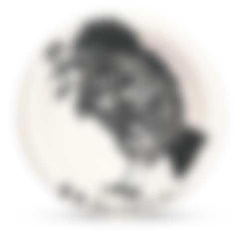 OISEAU AU VER (A. R. 172)<br/> (preview)