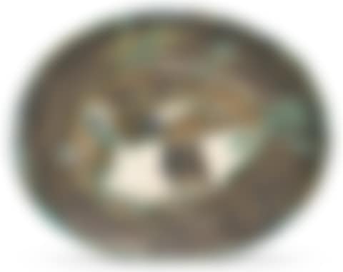 POISSON CHINÉ  (A. R. 170)<br/> (preview)