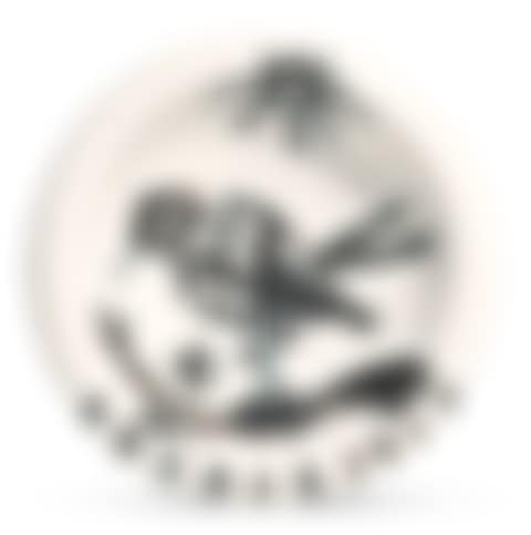 OISEAU AU SOLEIL (A. R. 174)<br/> (preview)