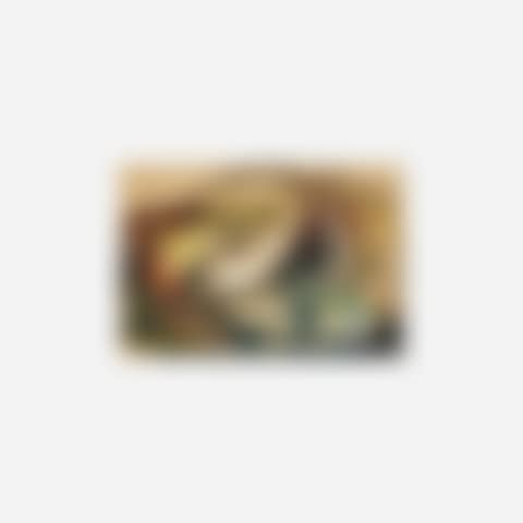 Untitled (preview)