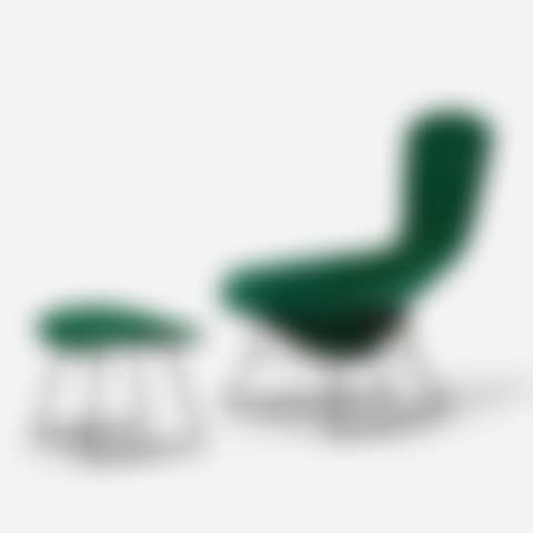 Bird chair and ottoman (preview)