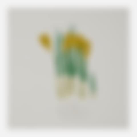 crocuses for spring (preview)