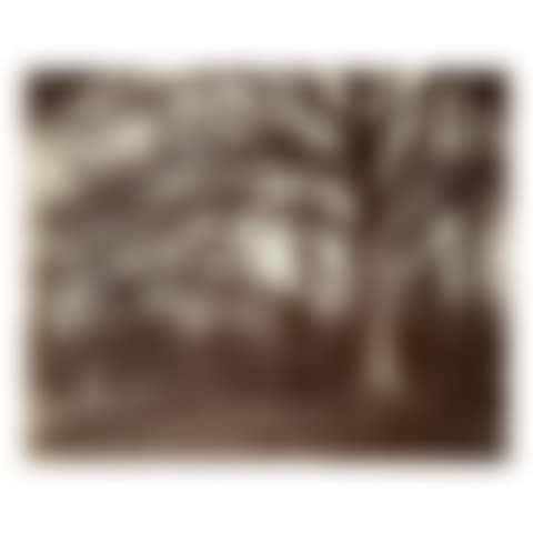 'ST. CLOUD' (preview)
