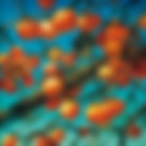 Persimmons (preview)