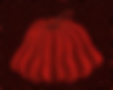 Pumpkin (preview)