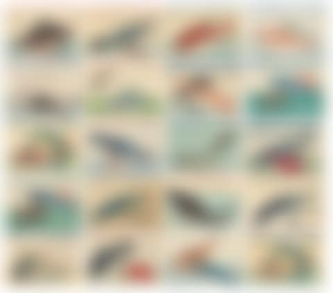 TWENTY PRINTS FROM THE UNTITLED SERIES OF LARGE FISH (UOZUKUSHI) (preview)