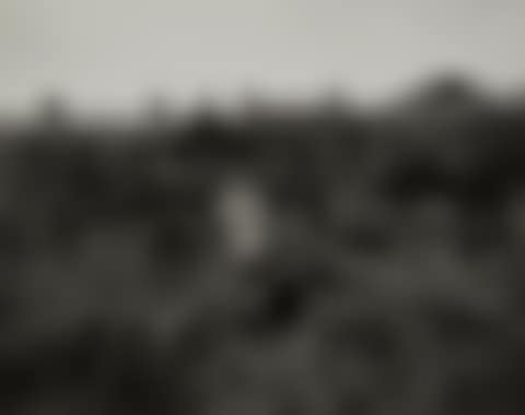 Wales (preview)