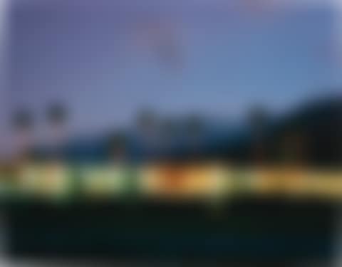 Palm Court Inn (preview)