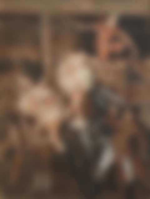 Het circus (preview)