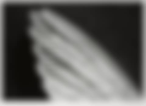 Untitled (Angel's Wing) (small version) (preview)