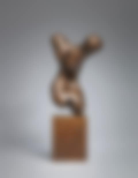 Torse (preview)