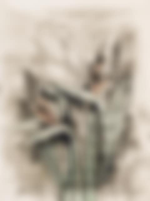Strelitzia, from A Temple of Flora (D. & F. 12) (preview)