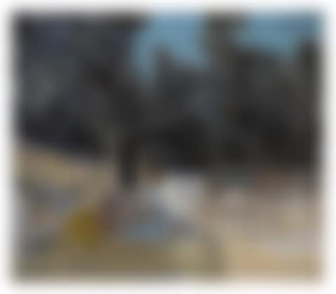 A PROMENADE (preview)