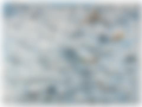 Cap de Boc Marinat (preview)