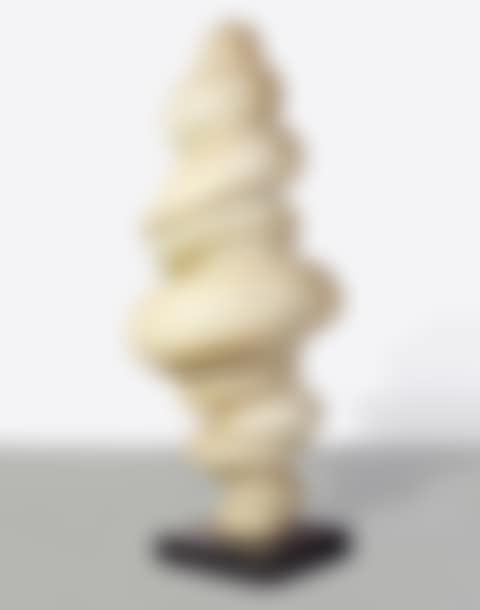 Wirbelsäule (preview)