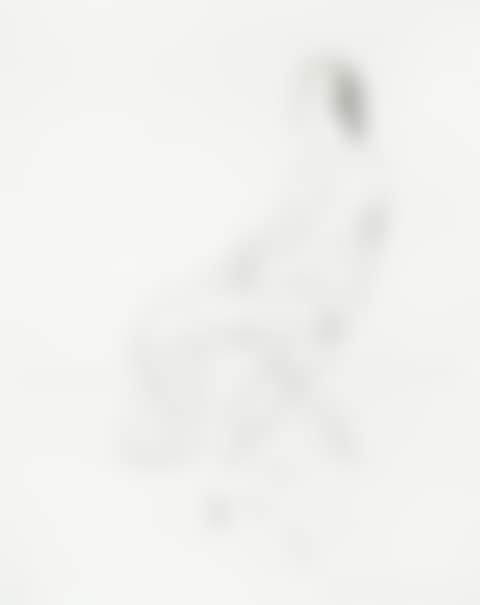 Mo with Five Leaves (MCA Tokyo 117; Scottish Arts Council 125) (preview)