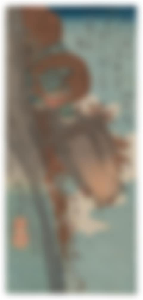 Shishi training cub (preview)
