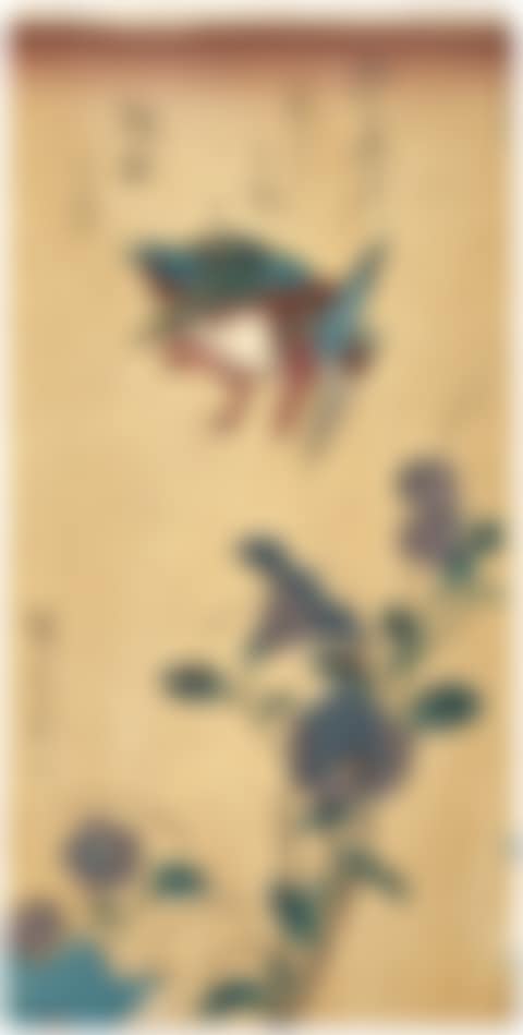 Kingfisher and bellflowers (preview)