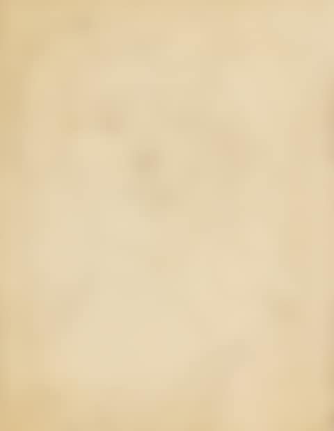 VISAGE DE FEMME (preview)