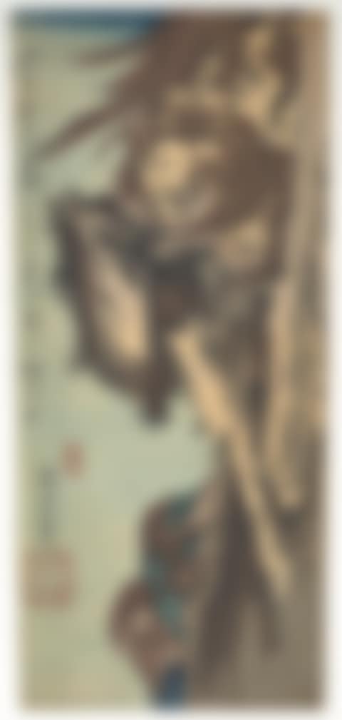 Shishi training cub (preview)