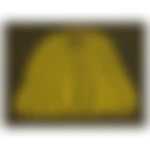 Pumpkin (preview)