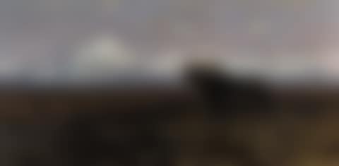 IN THE MARSH - A CAPE BUFFALO (preview)