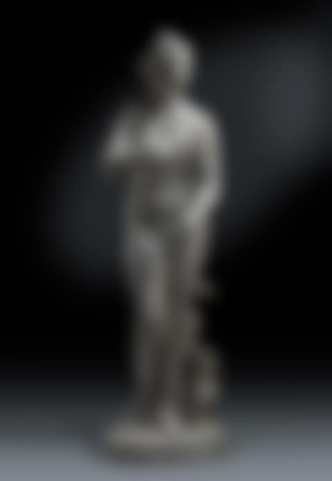 VENUS DE' MEDICI (preview)