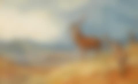 RED DEER IN A HIGHLAND LANDSCAPE (preview)
