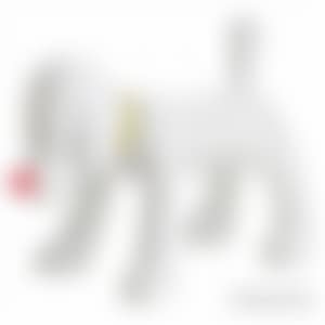 DOGGY RADIO (preview)