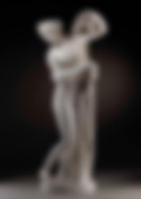 THE CALLIPYGIAN VENUS (preview)