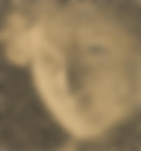 AUTOPORTRAIT (preview)